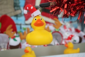Christmas Hook a Duck