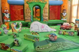 Amazonian Soft Play Package