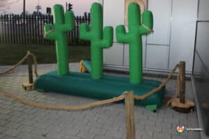 An inflatable cactus is set up outdoors, highlighting a lasso game for entertainment.