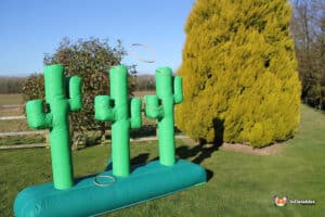 A vibrant inflatable cactus is on display outside, featuring a lasso game for guests to play
