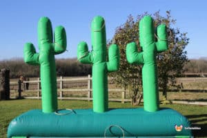 A vibrant inflatable cactus game outside, featuring a lasso hoop for guests to play