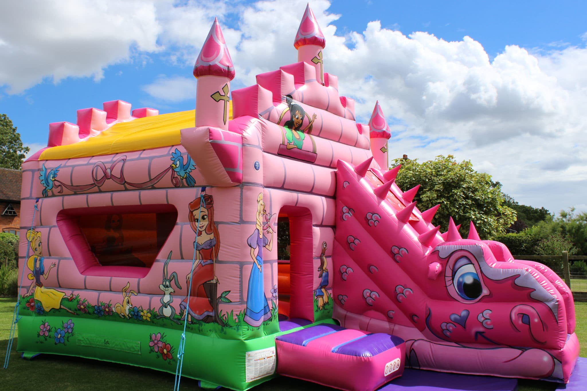 Fairytale Bounce n' Slide_3440 Fairytale Bounce n' Slide_3440