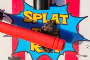 A whimsical red and white striped sign with a mouse illustration, advertising "Splat The Rat."