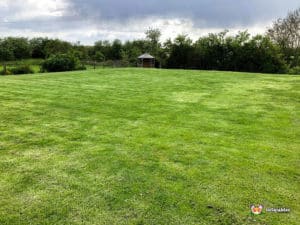 green space, outside