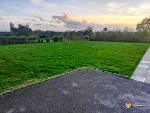 field