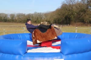 Rodeo Bull with Red Whitwe and Blue BedJPG