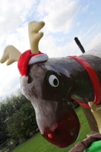 Rodeo Reindeer 4