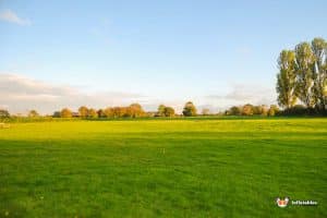 outside field space at Stoke Prior Sports and Social Club
