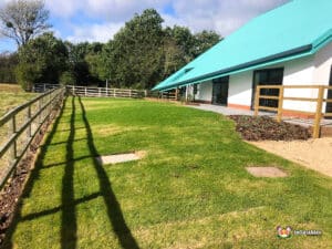 Feild and fence
