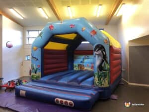 adult ocean themed bouncer