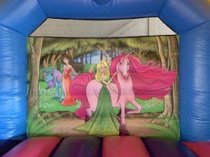 Unicorn Bounce and Slide_7355