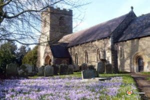 A historic church surrounded by spring flowers and gravestones, with a clear blue sky in the background.